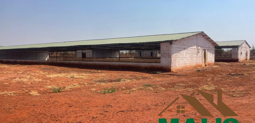 FOR SALE | Lusaka West Prime Farm Property–72.11 Acres 🌾