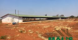 FOR SALE | Lusaka West Prime Farm Property–72.11 Acres 🌾