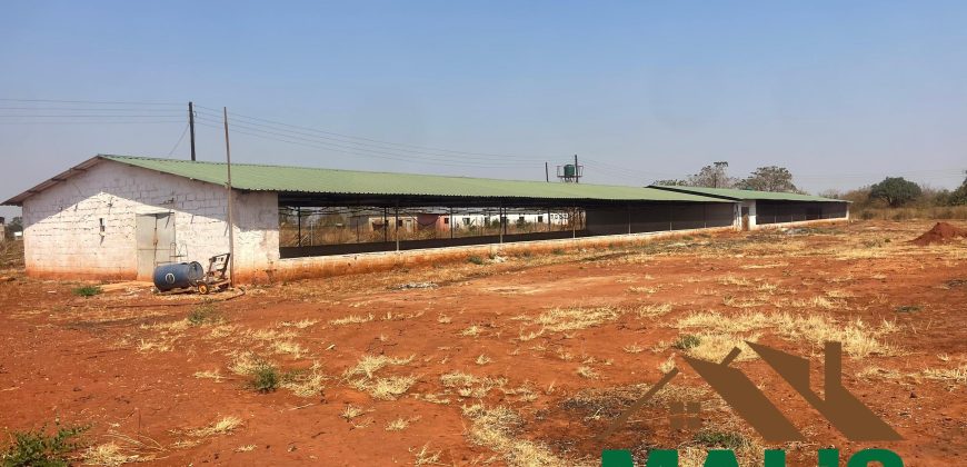 FOR SALE | Lusaka West Prime Farm Property–72.11 Acres 🌾