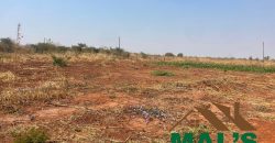 FOR SALE | Lusaka West Prime Farm Property–72.11 Acres 🌾