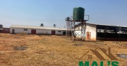 FOR SALE | Lusaka West Prime Farm Property–72.11 Acres 🌾