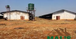 FOR SALE | Lusaka West Prime Farm Property–72.11 Acres 🌾