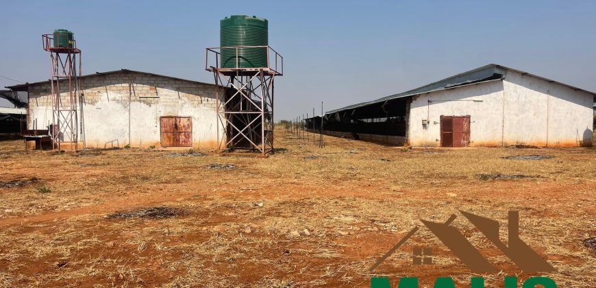 FOR SALE | Lusaka West Prime Farm Property–72.11 Acres 🌾