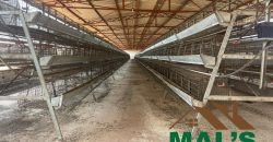 FOR SALE | Lusaka West Prime Farm Property–72.11 Acres 🌾