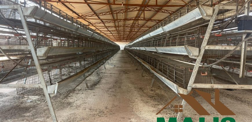FOR SALE | Lusaka West Prime Farm Property–72.11 Acres 🌾