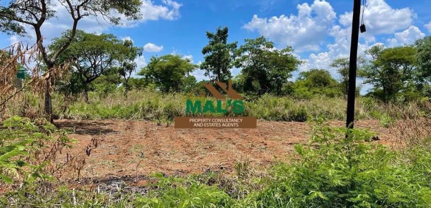 FOR SALE | Makeni 100 Acres Land Near Oriental Quarries