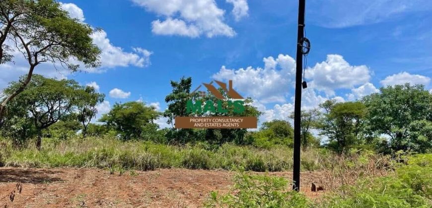 FOR SALE | Makeni 100 Acres Land Near Oriental Quarries