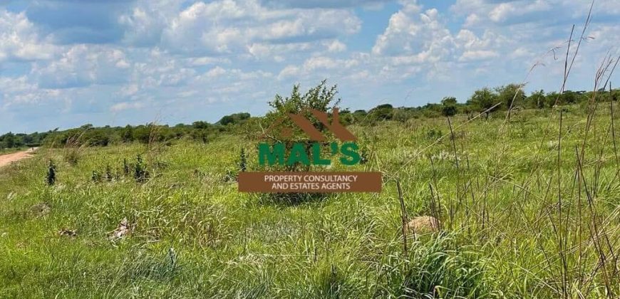 FOR SALE | Makeni 100 Acres Land Near Oriental Quarries