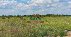 FOR SALE | Makeni 100 Acres Land Near Oriental Quarries