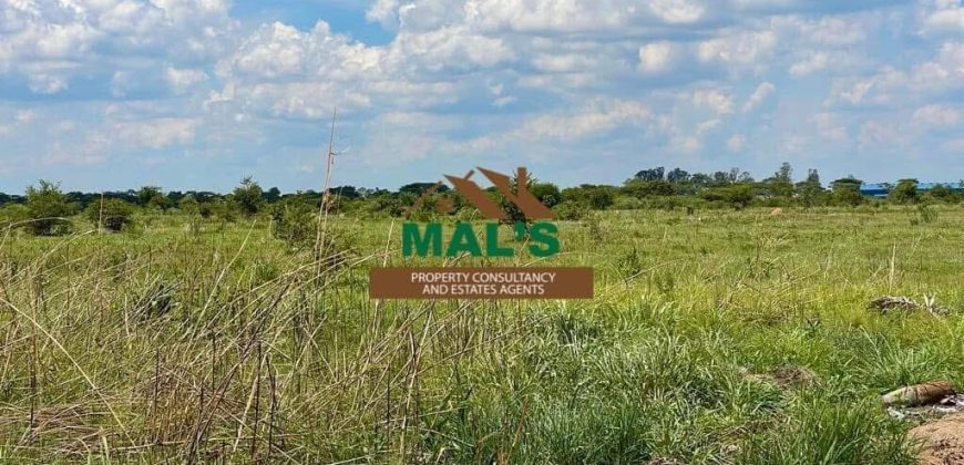 FOR SALE | Makeni 100 Acres Land Near Oriental Quarries