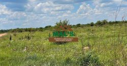 FOR SALE | Makeni 29 Acres Land Near Oriental Quarries