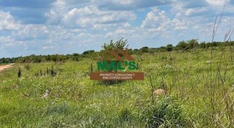 FOR SALE | Makeni 29 Acres Land Near Oriental Quarries