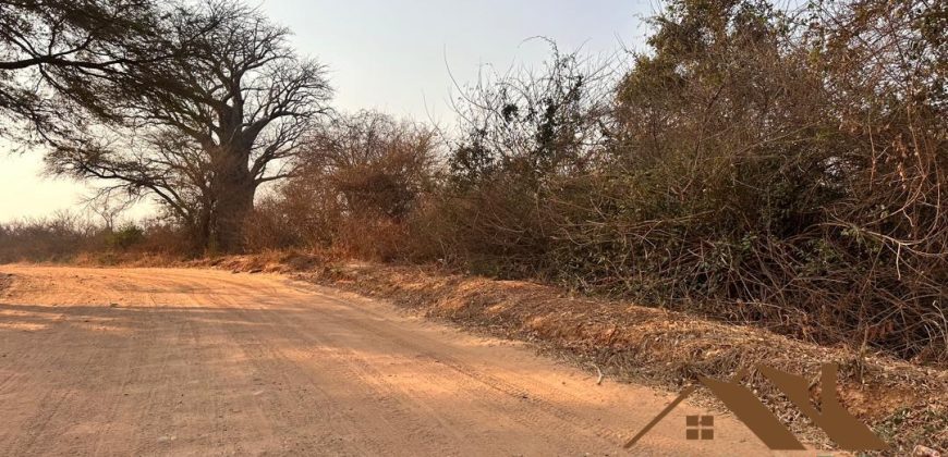 FOR SALE | Chiawa 1,063 Acres Land