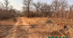 FOR SALE | Chiawa 1,063 Acres Land