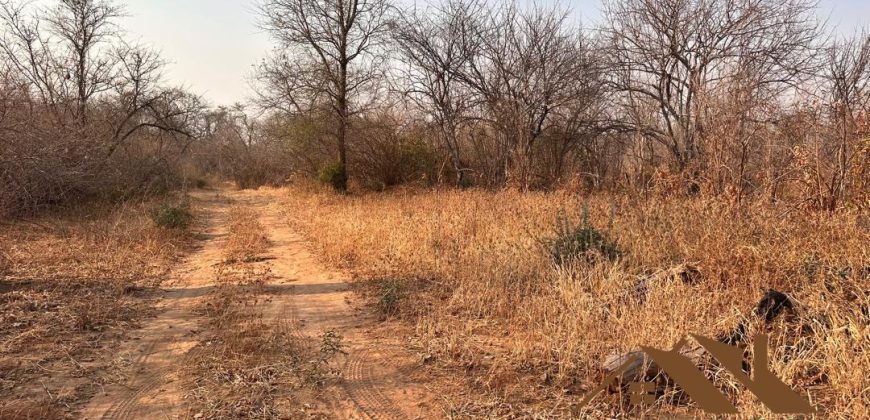 FOR SALE | Chiawa 1,063 Acres Land