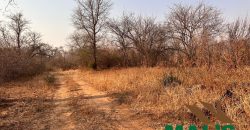 FOR SALE | Chiawa 1,063 Acres Land
