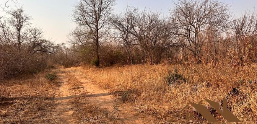 FOR SALE | Chiawa 1,063 Acres Land