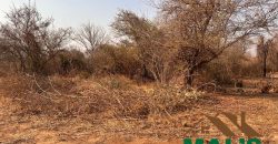 FOR SALE | Chiawa 1,063 Acres Land