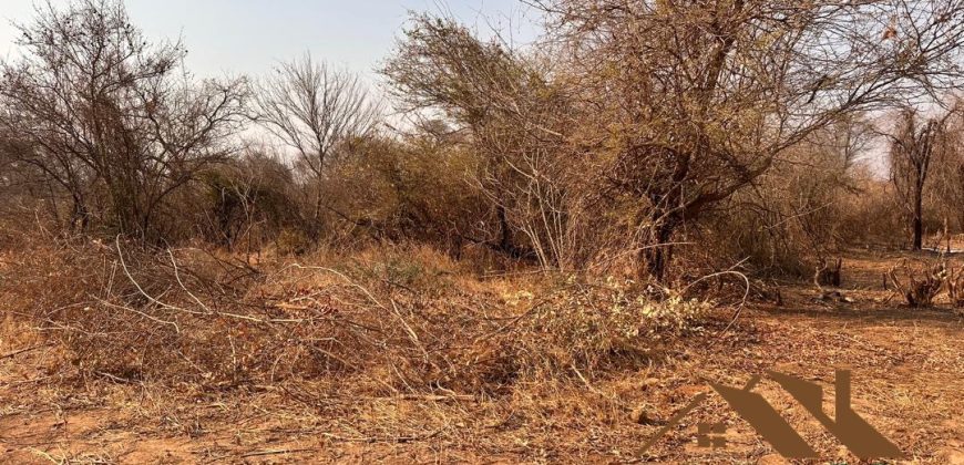 FOR SALE | Chiawa 1,063 Acres Land
