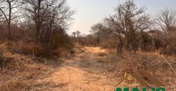 FOR SALE | Chiawa 1,063 Acres Land