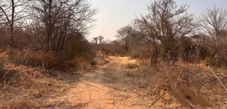 FOR SALE | Chiawa 1,063 Acres Land