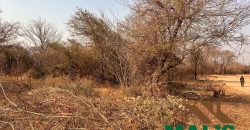 FOR SALE | Chiawa 1,063 Acres Land