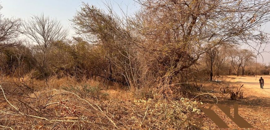 FOR SALE | Chiawa 1,063 Acres Land
