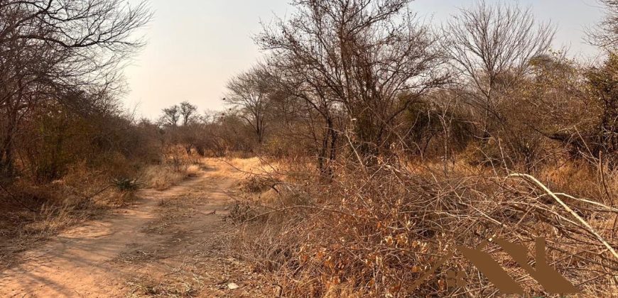 FOR SALE | Chiawa 1,063 Acres Land