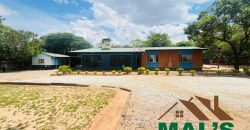 FOR SALE | Kabulonga Five Bedroomed House